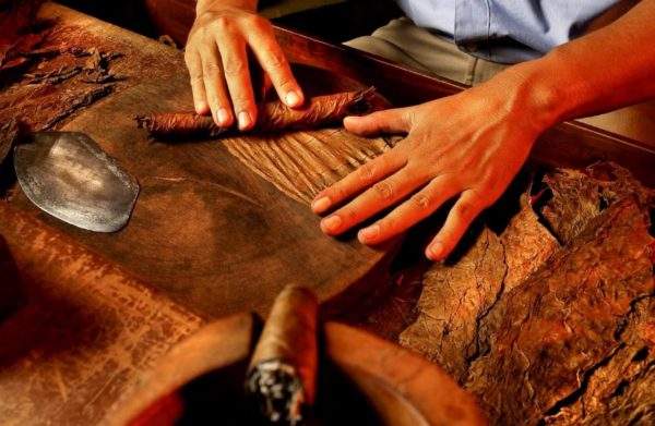 Hands rolling tobacco into a cigar