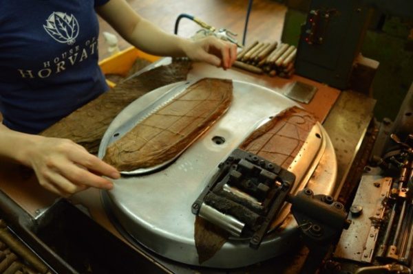 A woman's hand making handling tobacco