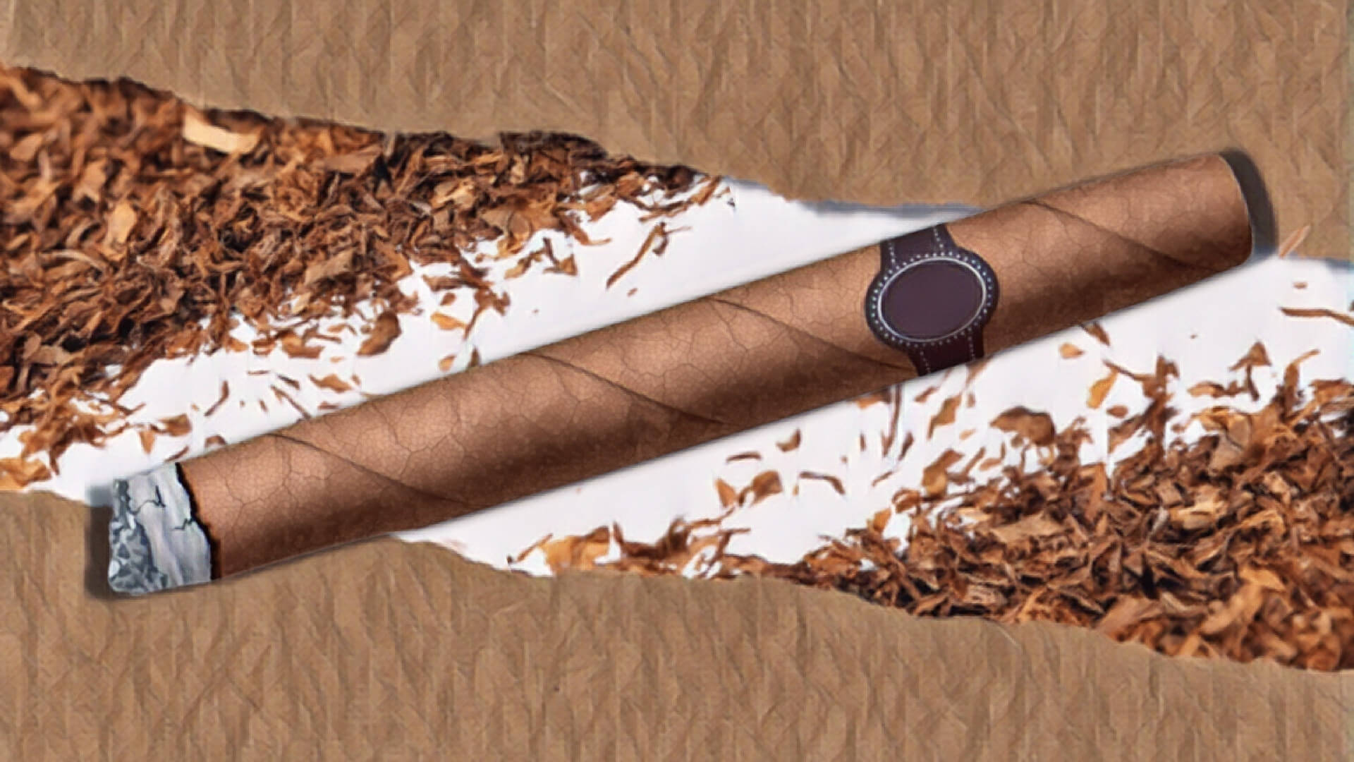 Value Cigars Understanding Short Filler Homogenized Tobacco Leaf 