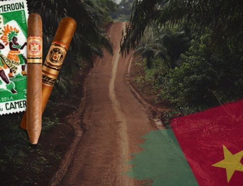 The Road Less Travelled: The World Of Cameroon Tobacco
