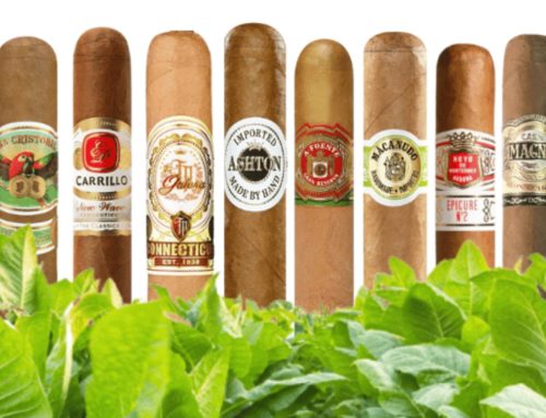 10 Mild Cigars that are Big On Taste