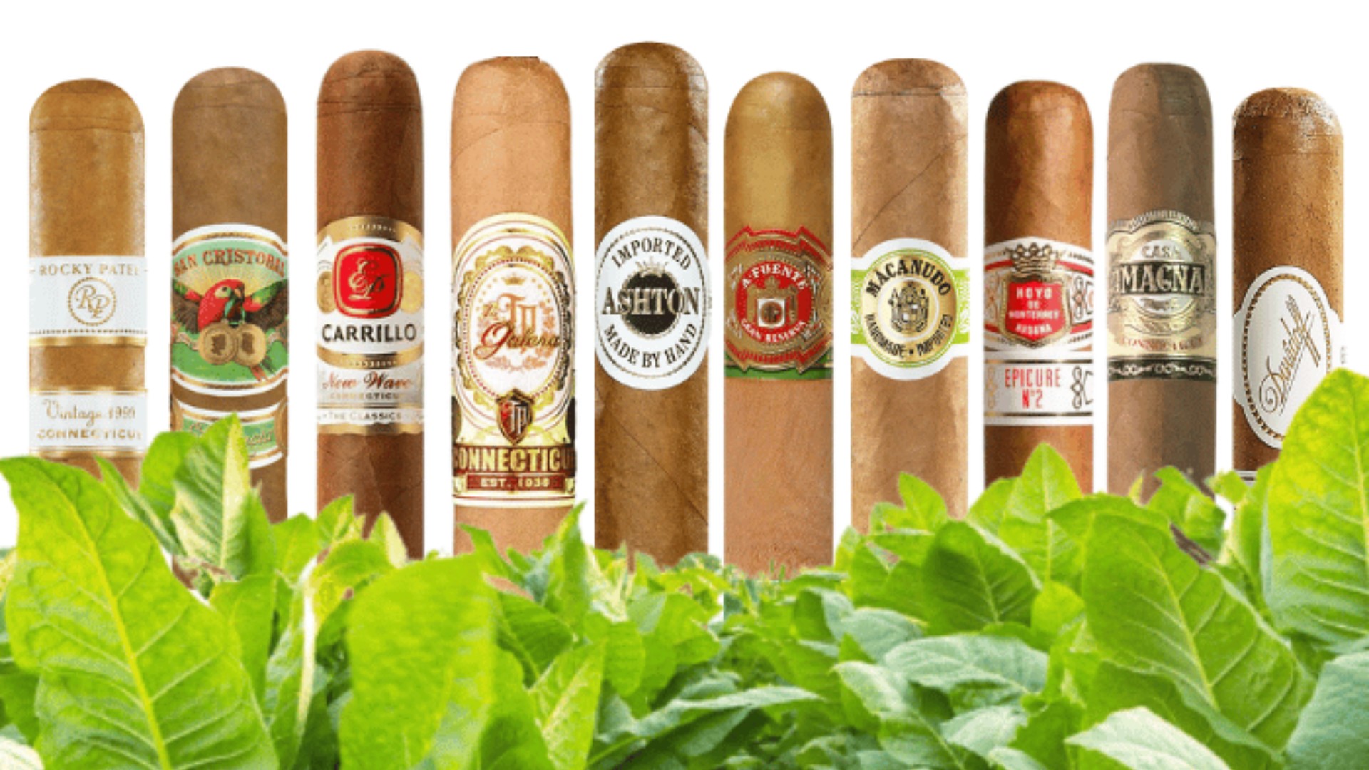 Top 10 Best Cigars Under 5 Dollars