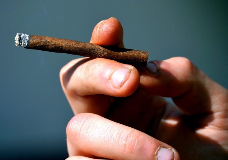 Cigario The Cigarillo: Time for a Quick Smoke - House of Horvath